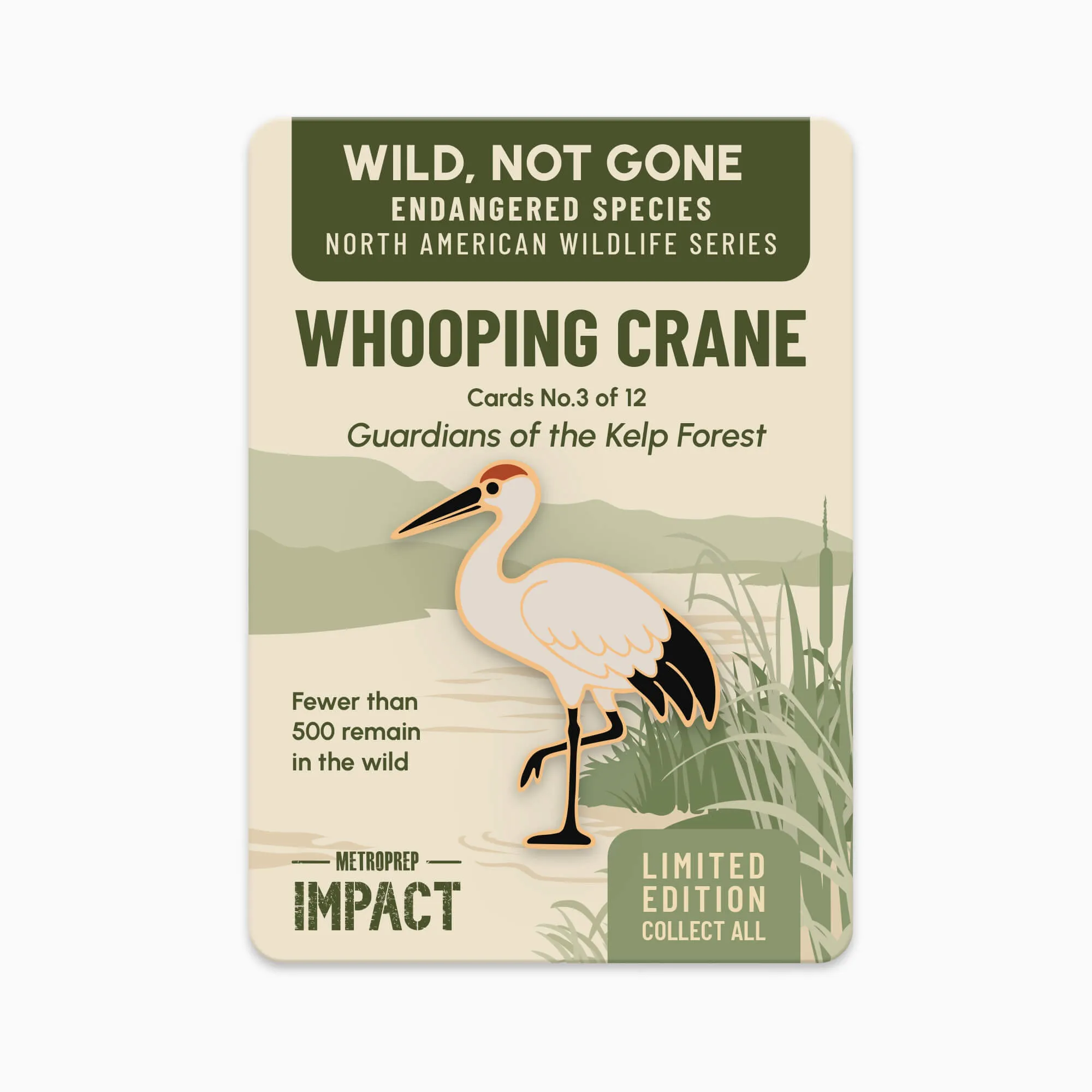 Whooping Crane pin